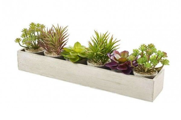 Kunstpflanzen Sukkulenten Mix 6 Stück von 9 - 14cm im Topf