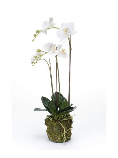 Phalaenopsis - Orchideen Kunstblume im Moosballen