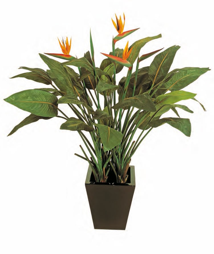 dbkd pflanztopf DBKD Pflanzkübel PLANT POT beige, verschiedene Größen – HOF&HEIM  Conceptstore main image 1