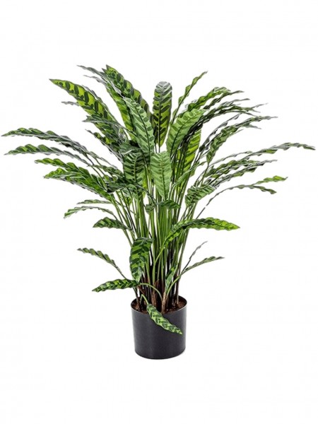 Calathea Busch Kunstpflanze 84 cm