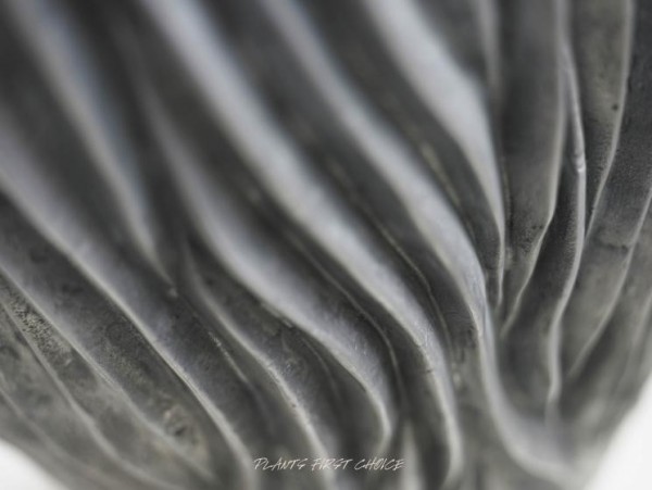 River Aluminium - Pflanzvase oval