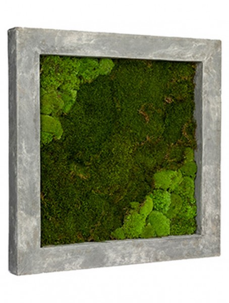Rahmen aus Polystone grey mit mumifiziertem Moos