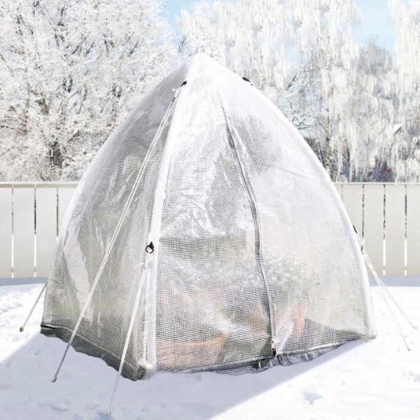 Foliengewächshaus Tropical Island