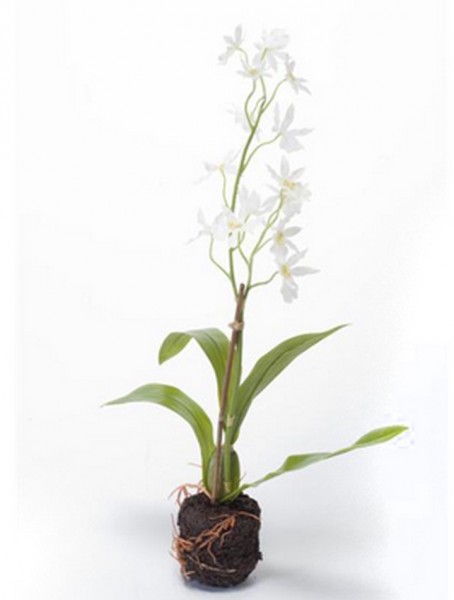 Oncidium Solidwhite | Orchideen Kunstpflanze