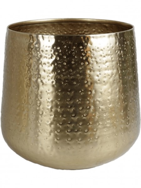 Aspidistra elatior 80 cm in Karakter Metall Pflanzkübel