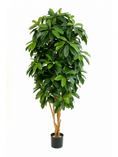 Lady schefflera - Kunstbaum schwer entflammbar