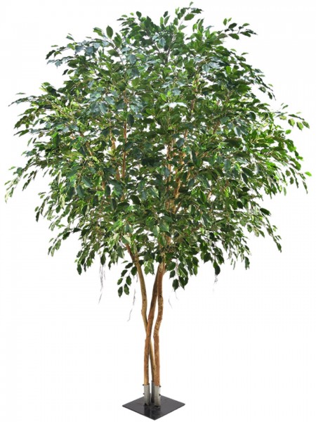 Ficus Exotica Busch - Kunstbaum schwer entflammbar / feuerhemmend
