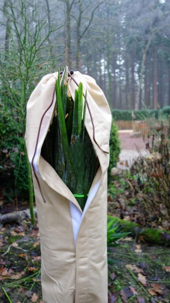 Stamm- und Wedelfrostschutz für Palmen