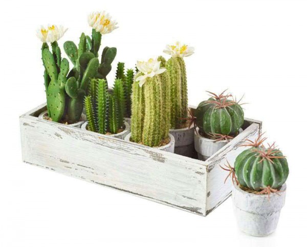 Kunstkaktus 9 -13 cm 8 Stück im Topf sortiert