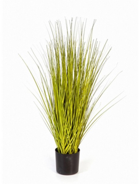 Miscanthus gold grass - Elefantengras Kunstpflanze