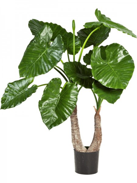Alocasia calidora - Kunstpflanze