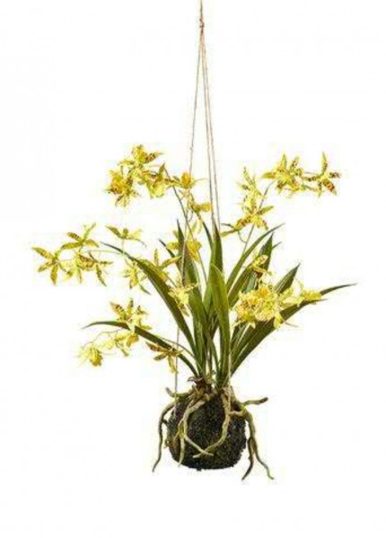 Phalaenopsis gelb mit Ballen 45 cm - Kunstpflanze zum Hängen