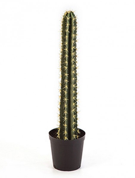 Kunstcactus Stamm