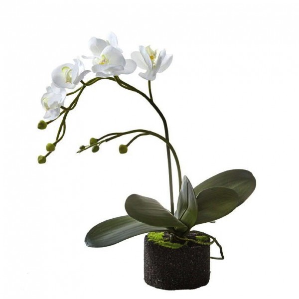 Phalaenopsis weiß mit Ballen 50 cm - Kunstpflanze