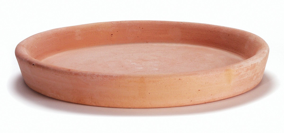 Blumentopf-Untersetzer Rund – 40 Cm, In Terracotta, Braun Oder Weiß, Aus Robustem PP-Kunststoff Für Topf & Kübel