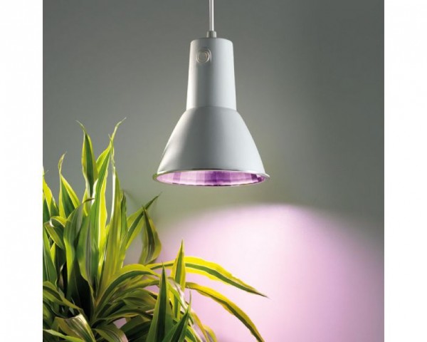 Pflanzen Energiesparlampe L15