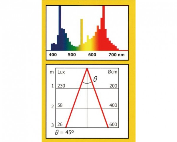Pflanzen Energiesparlampe L15