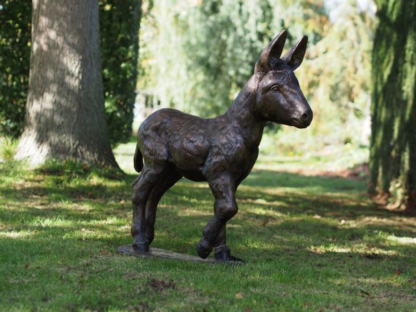 Baby Esel Milo - Bronzefigur 90 x 30 x 93 cm