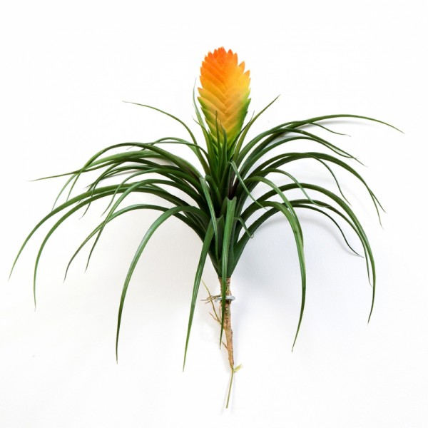 Bromelia Vriesia - Kunstpflanze