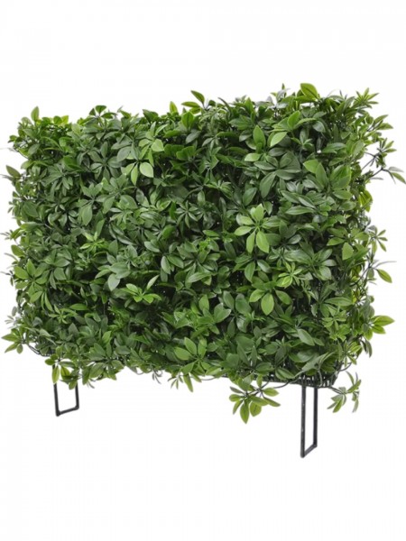 Schefflera Kunstpflanzen Hecke 80 cm