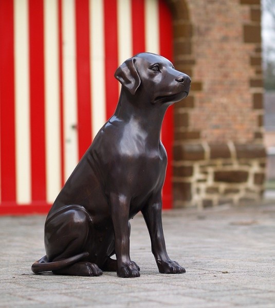 Großer Bronze Labrador - 71 cm sitzend