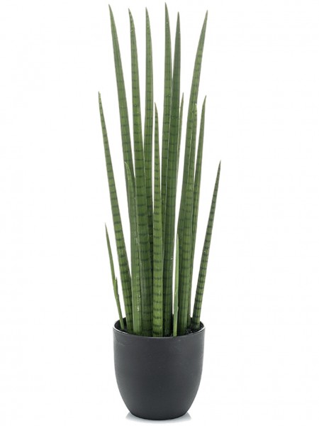 Sansevieria cylindrica spikes - Kunstpflanze