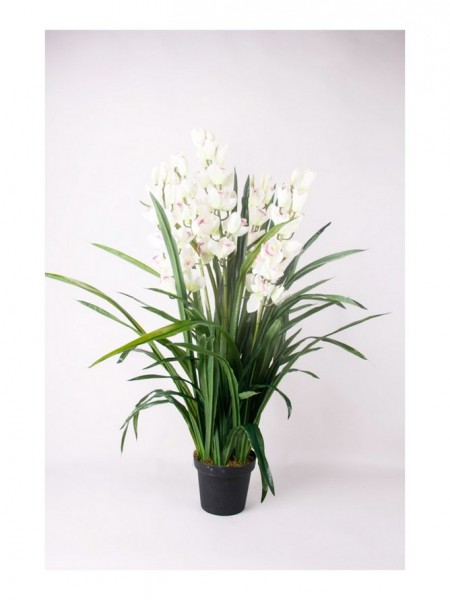 Cymbidium cream weiß 110 cm | Orchideen Kunstpflanze
