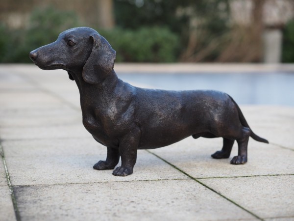 Dackel aus Bronze 69 x 17 x 33 cm