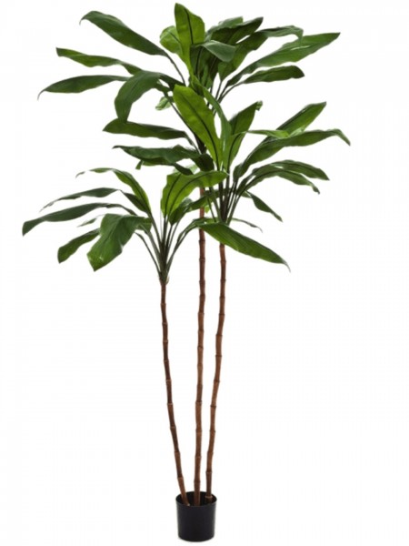 Cordyline Fruticosa Kunstpalme 210 cm