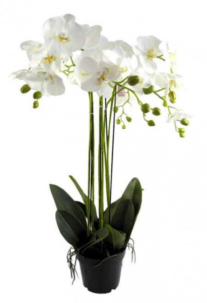 Phalaenopsis weiß im Topf - Kunstpflanze