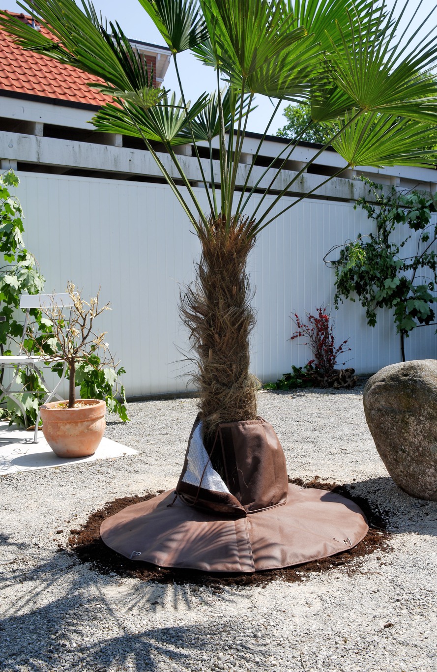 Frostschutz für Wurzeln Palmen Winterschutz Terrapalme Heim und