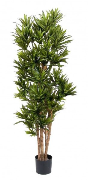 Dracaena reflexa - Kunstbaum schwer entflammbar