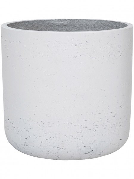 Sansevieria zeylanica 100 cm im Rough Pflanzkübel