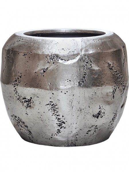 Alocasia zebrina bepflanzt 120 cm im Opus Raw Pflanzkübel