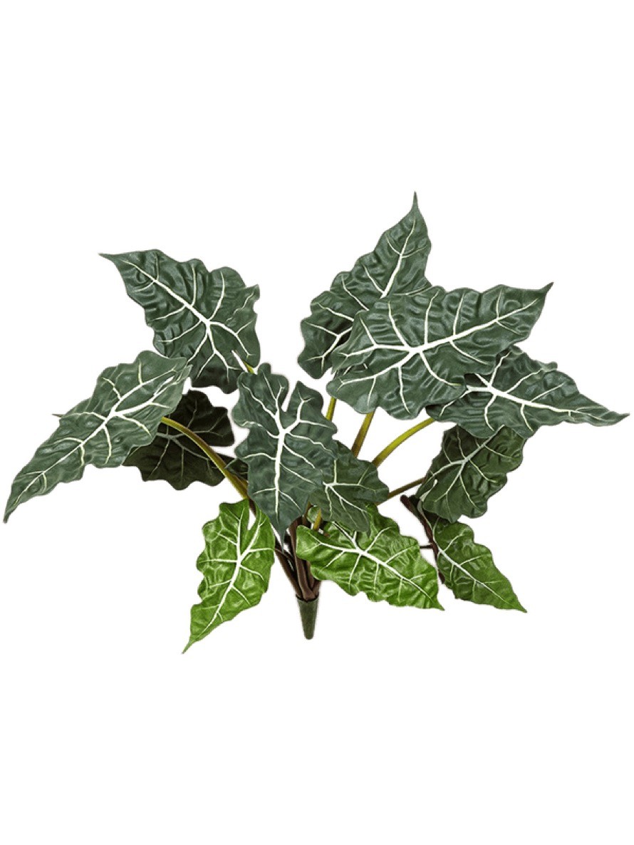 Alocasia Kunstpflanzenzweig 60 cm - 3er Pack | Terrapalme Heim- und  Gartenshop