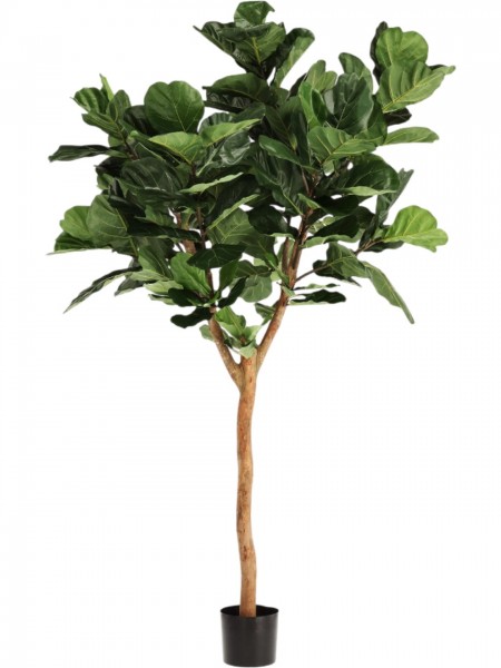 Ficus Lyrata Deluxe Kunstpflanze 220 cm