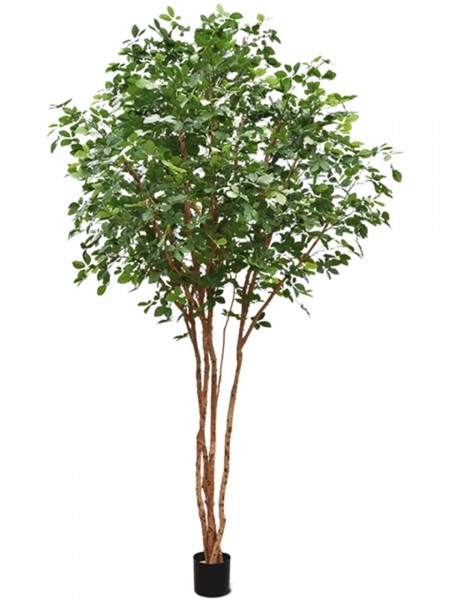 Fagus Sylvatica verzweigt - Rotbuche Kunstbaum 325 cm