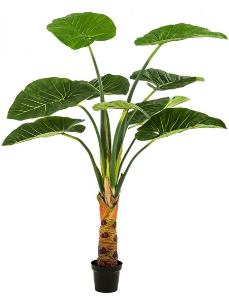 Alocasia Kunstpalme 160 cm