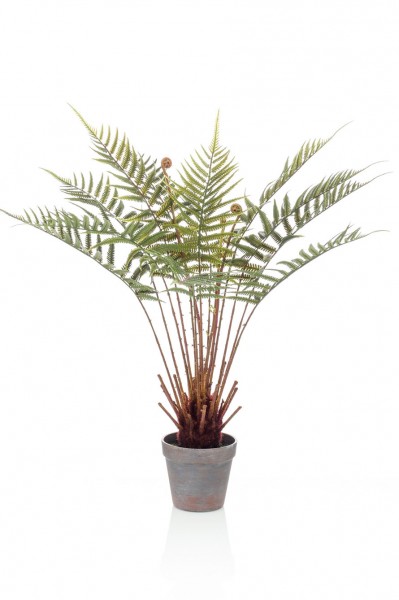 Dicksonia Baumfarn Kunstpflanze