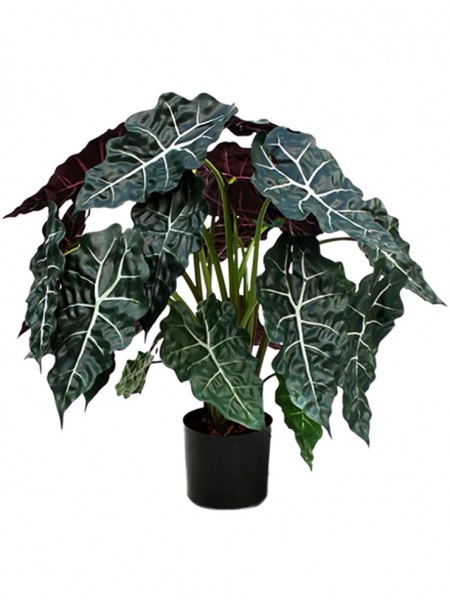 Alocasia Polly Kunstpflanzenbusch 75 cm