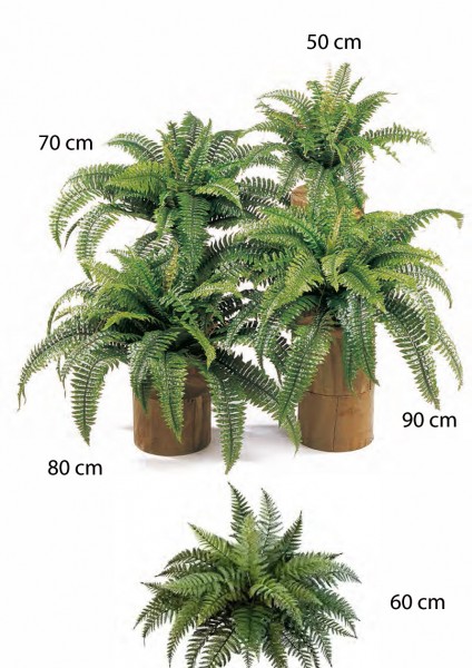 Boston Farn | Schwertfarn Kunstpflanze