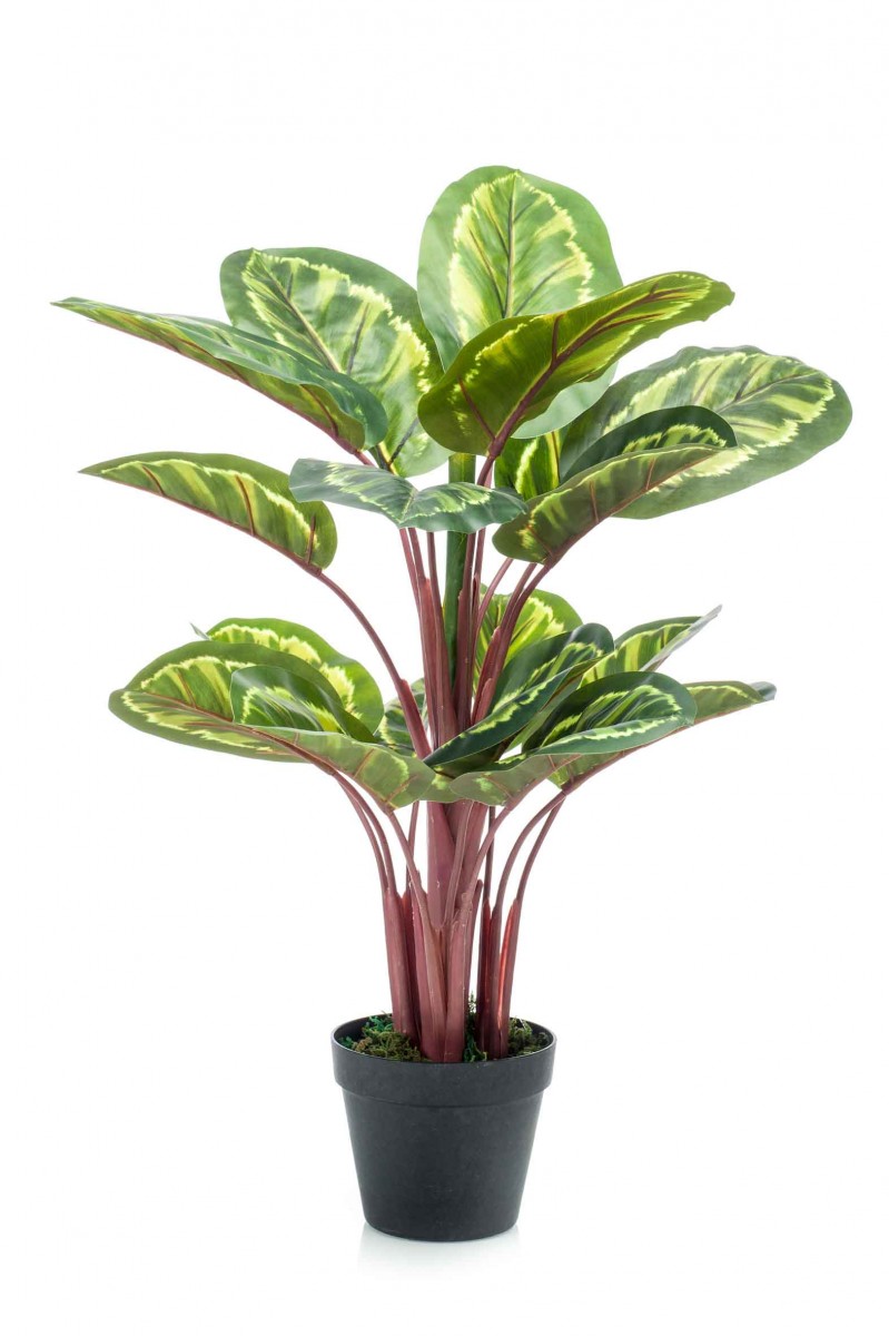 Calathea grn-gelb Kunstpflanze | Terrapalme Heim- und Gartenshop