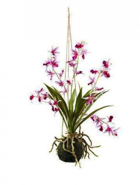 Phalaenopsis mit Ballen 45 cm - Kunstpflanze zum Hängen