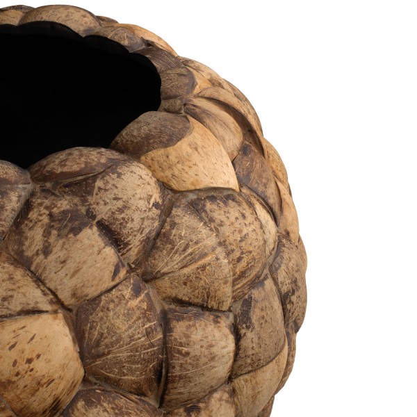 Globe Coconut Pflanzgefäß