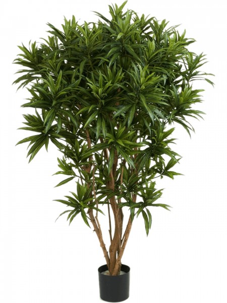 Dracaena reflexa jamaica 150cm Kunstbaum