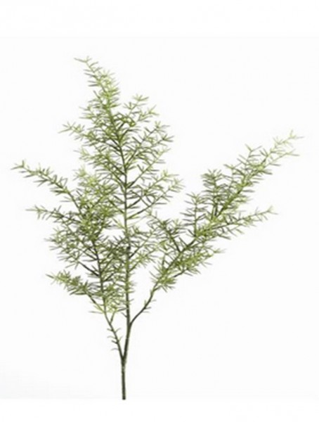 Spargelzweig 60 cm | Asparagus Kunstzweig