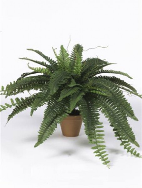 Boston Farn | Schwertfarn Kunstpflanze im Tontopf