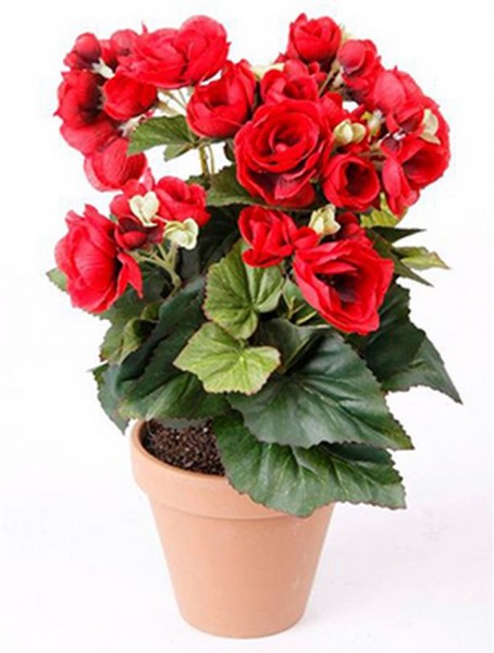 Begonien rot 14 cm | Begonia Kunstpflanze imTopf