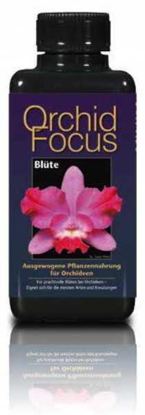 Orchid Focus Blüte - Düngerkonzentrat