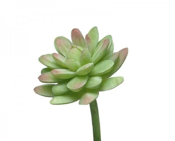 Echeveria grün Kunstpflanzenstiel 16 cm